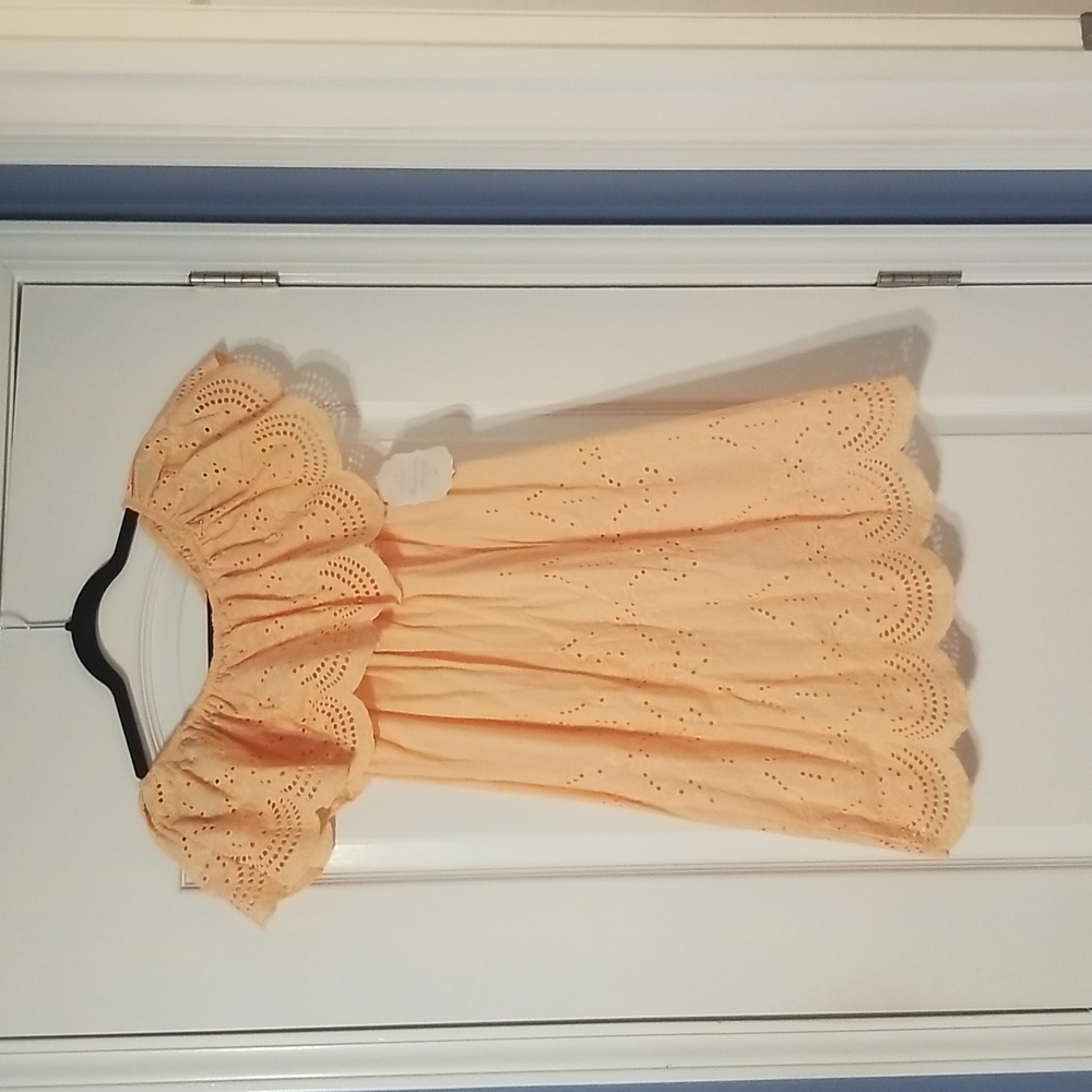 Altar'd State peach dress